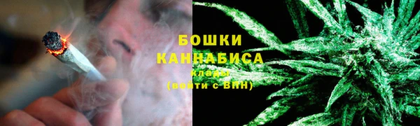 прущий лед Новозыбков