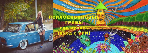 прущий лед Новозыбков