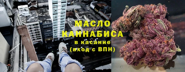 прущий лед Новозыбков