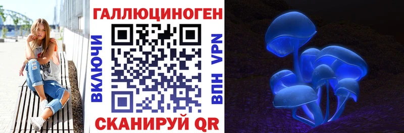 Купить где  Дубовка  Галлюциногенные грибы ЛСД 