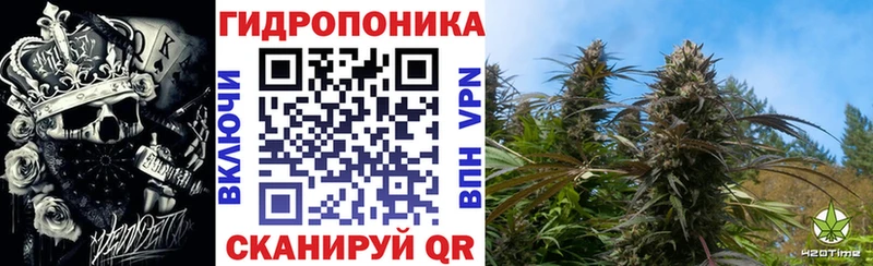 Бошки марихуана Bruce Banner  Купить  Дубовка 
